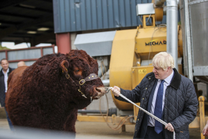 Farewell to a Bullish Boris