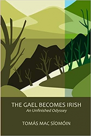 The Gael becomes Irish: the long-term consequences of colonisation
