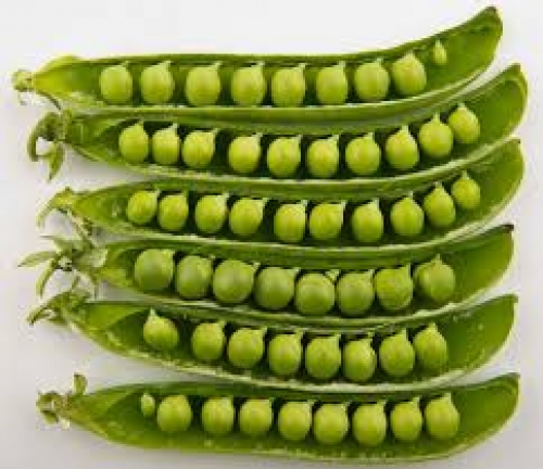 Free the peas!