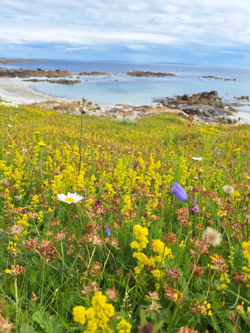 Duacheen, Muighinis, Connemara