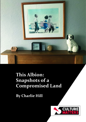 This Albion: Snapshots of a Compromised Land